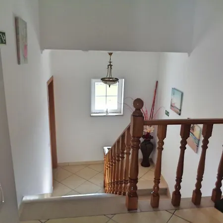 Coelho - By Algarkasa Albufeira