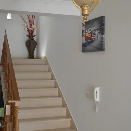 Coelho - By Algarkasa * Albufeira