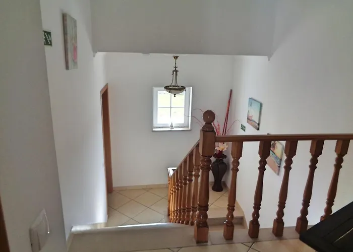 Coelho - By Algarkasa 알부페이라