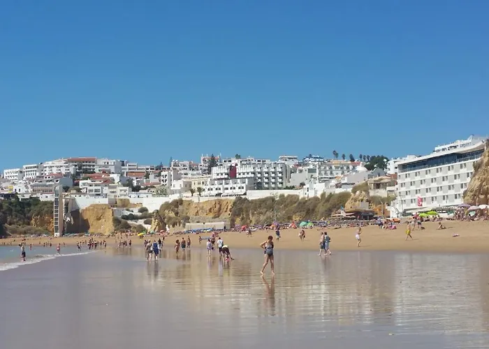 Coelho - By Algarkasa *