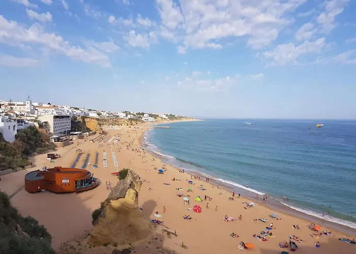 Coelho - By Algarkasa * 알부페이라