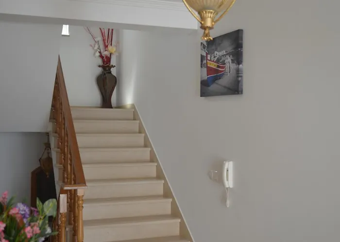 Coelho - By Algarkasa * 알부페이라