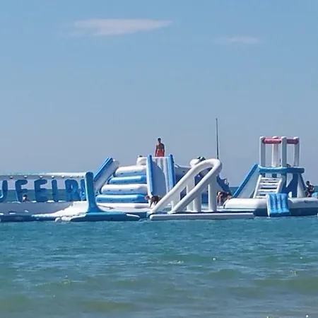 Coelho - By Algarkasa Feriehus