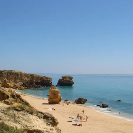 Coelho - By Algarkasa *